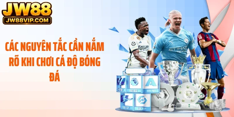 Các nguyên tắc cần nắm rõ khi chơi cá độ bóng đá
